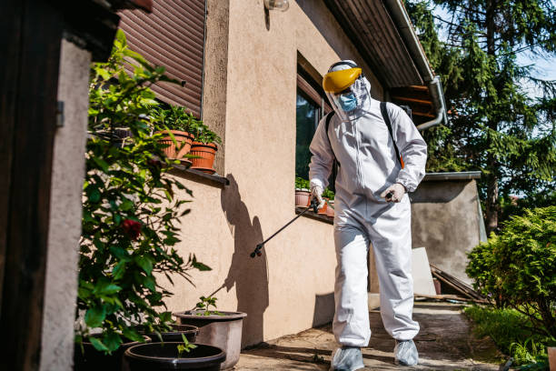Best Residential Pest Control  in Elm Creek, TX