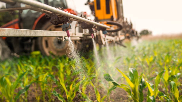 Pest Prevention Services in Elm Creek, TX